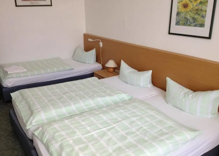 Guest house Flora 2*