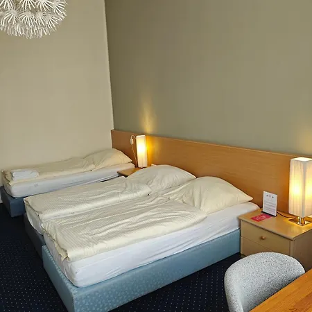 فلورا بيت ضيافة